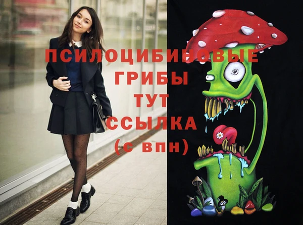 дживик Алексин