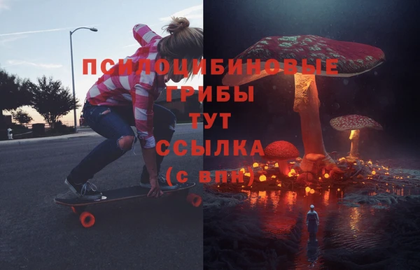 стафф Алексеевка