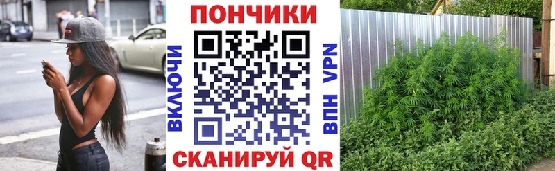 дарнет шоп  Бокситогорск  Конопля сатива 
